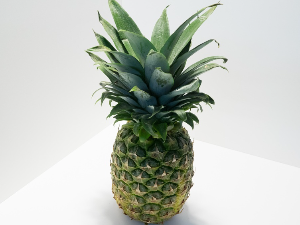 파인애플 꿈 해몽
